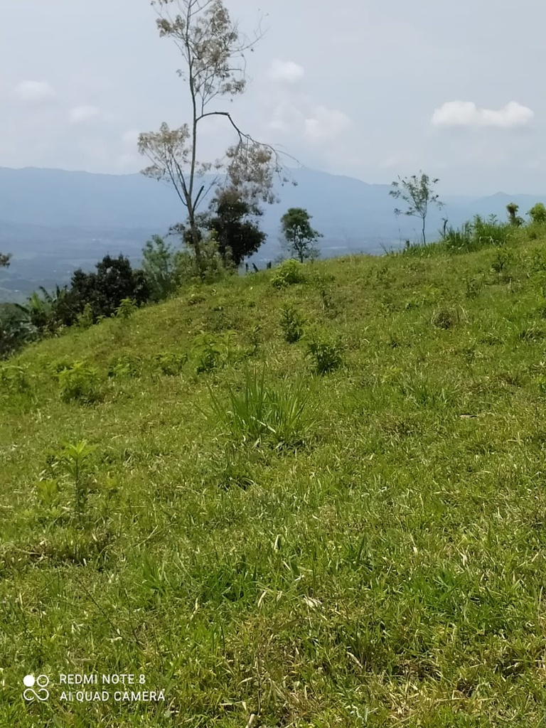 LOTE PARA LA VENTA UBICADO EN VITERBO