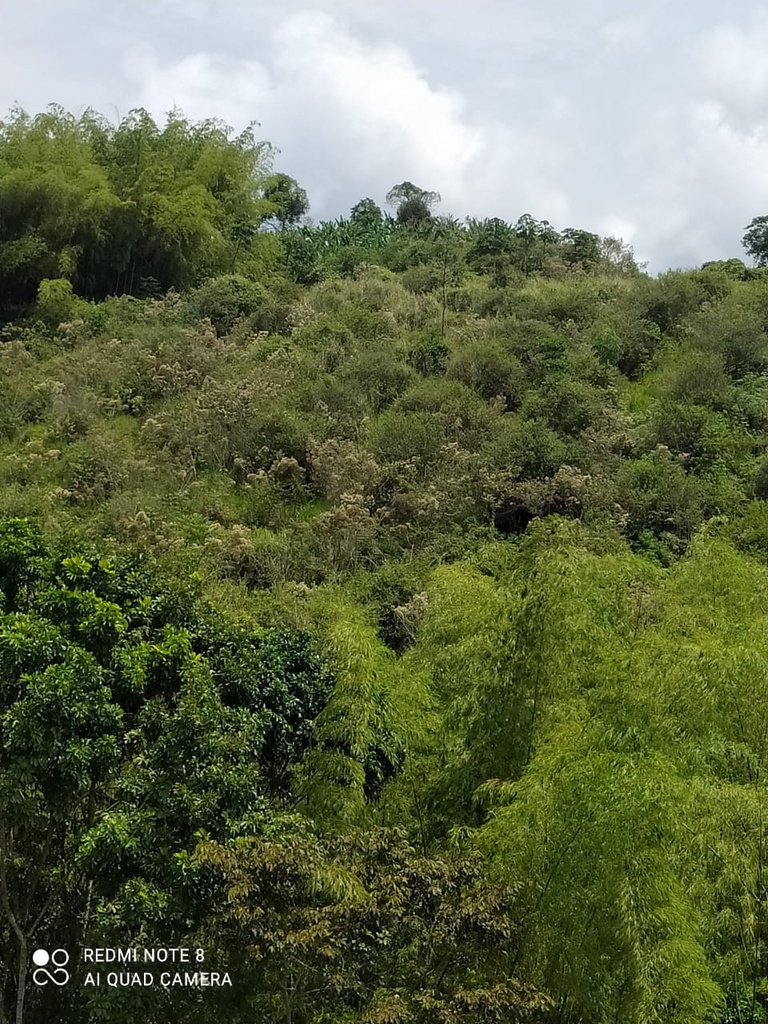 LOTE PARA LA VENTA UBICADO EN VITERBO