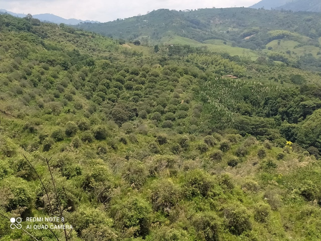 LOTE PARA LA VENTA UBICADO EN VITERBO