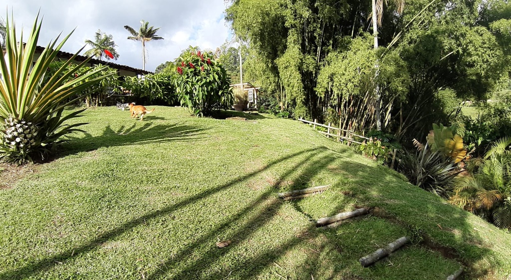 FINCA PARA VENTA SANTA ROSA DE CABAL