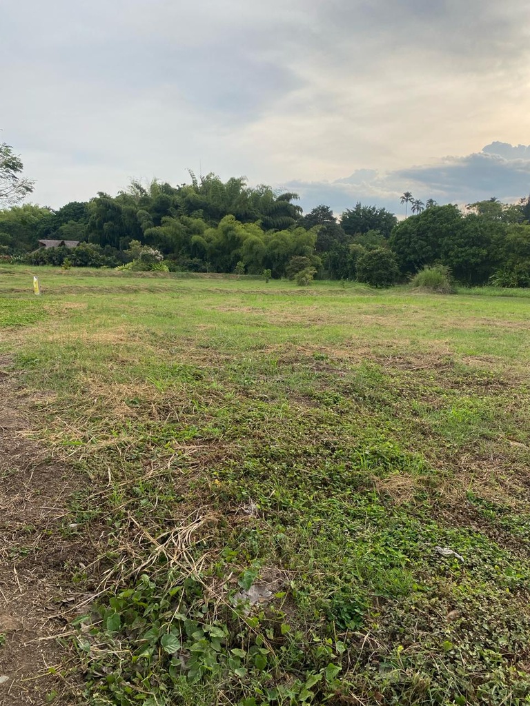 Lote en Cerritos