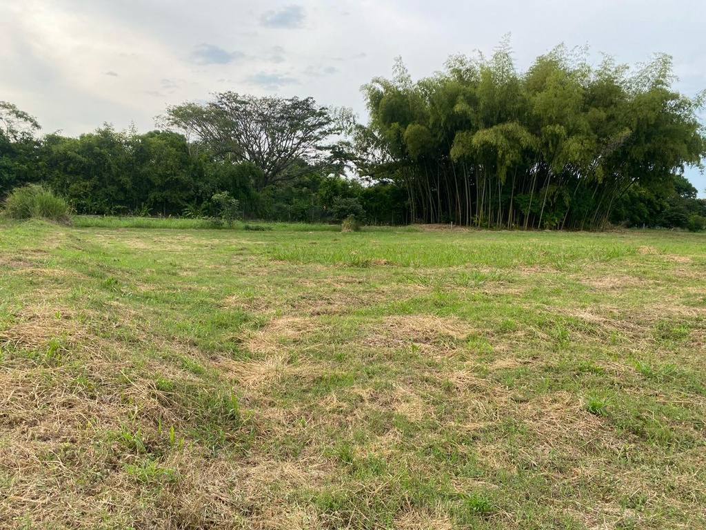 Lote en Cerritos