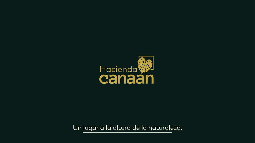 HACIENDA CANAAN- Apartamentos