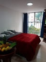 Apartaestudio para la venta en Pinares