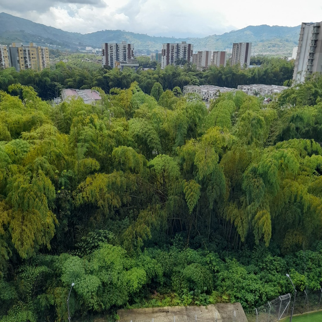 Apartamento para la venta en Dosquebradas