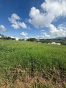 Lote campestre para venta en Condominio Hacienda Malabar