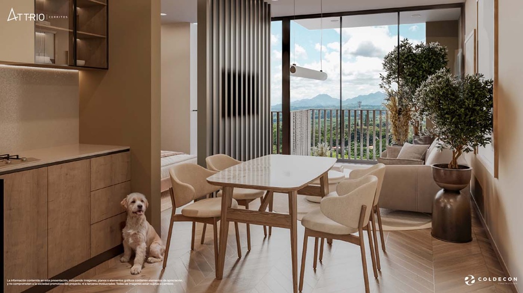 ATTRIO- Apartaestudios