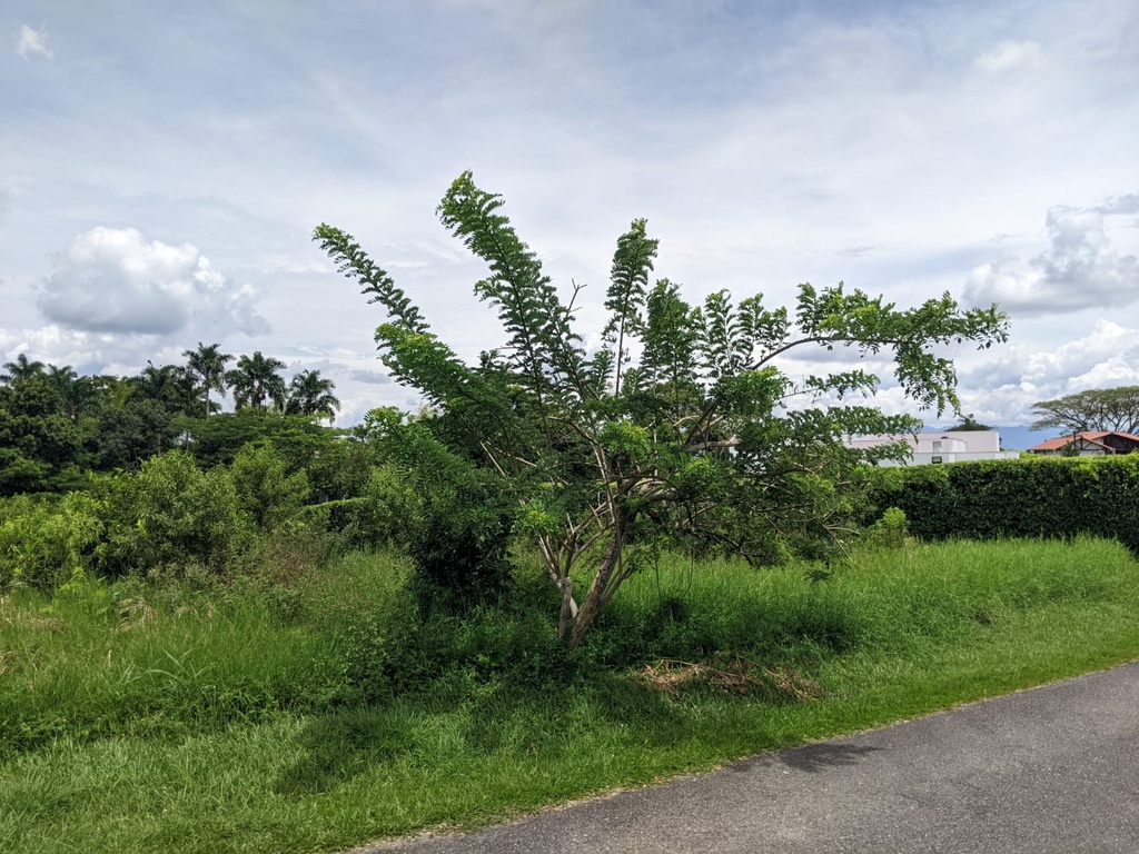 Lote Campestre para la venta en Cerritos