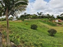 Lote Campestre sector Via Armenia