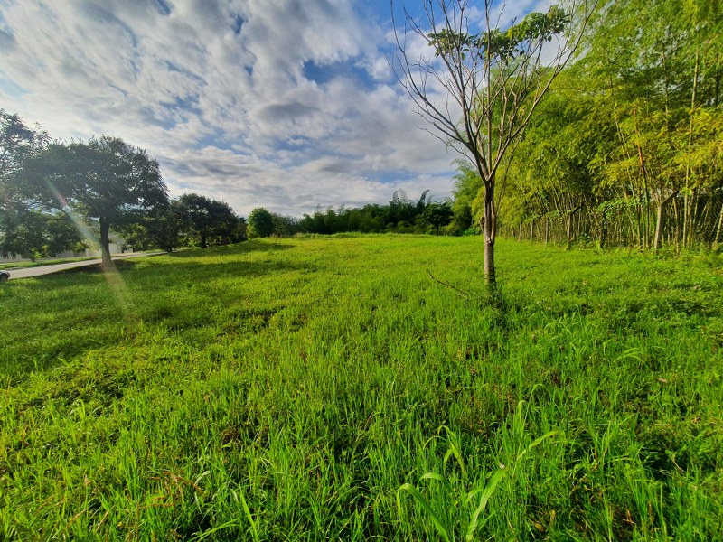 Lote en Cerritos Pereira