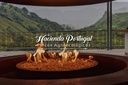 HACIENDA PORTUGAL - Fincas Agroecológicas