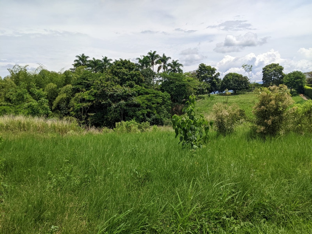 Lote Campestre para la venta en Cerritos