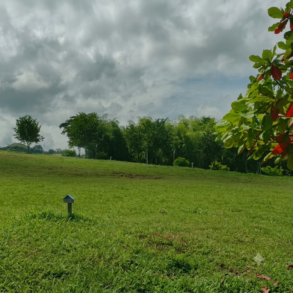 Lote Campestre para la venta en Viterbo