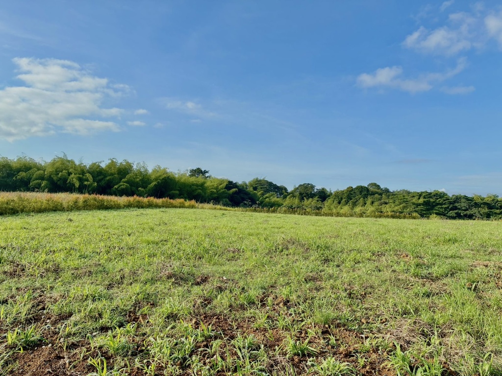 Lote para la venta en Cerritos vía la Virginia