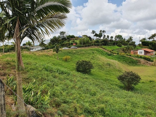 [1108] Lote Campestre sector Via Armenia