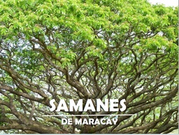 [1026] SAMANES DE MARACAY. Lotes Campestres via Cerritos, La Virginia)