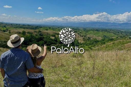 [1248] PALO ALTO - Lotes Campestres