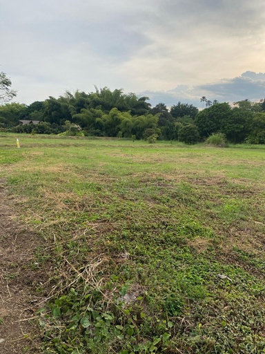 [1398] Lote en Cerritos