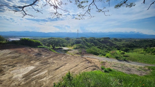 [1491] Lote en Cartago para la venta