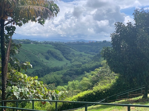 [1576] Lote para la venta en Cerritos